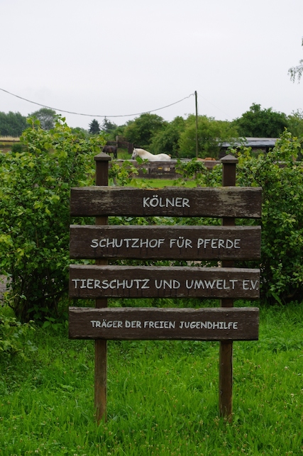 Kölner Schutzhof für Pferde